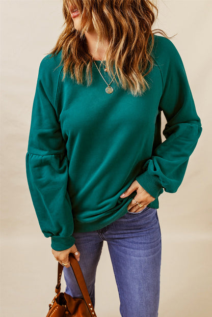 Raglan Patchwork Sleeve Pullover Sweatshirt | 2 Colors|